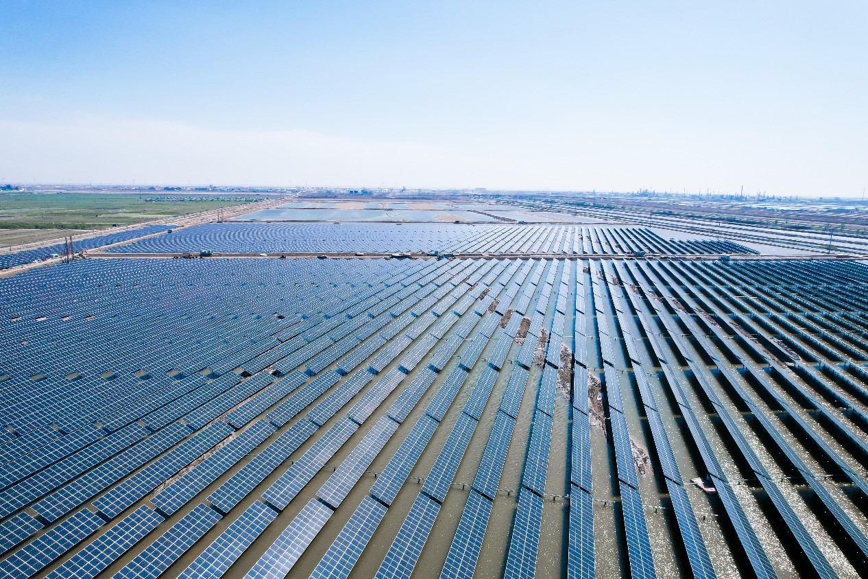 Cangzhou fishery project aerial view